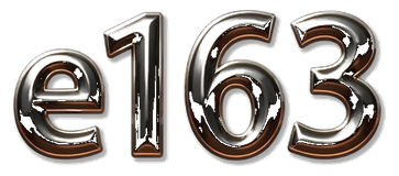 e163 logo